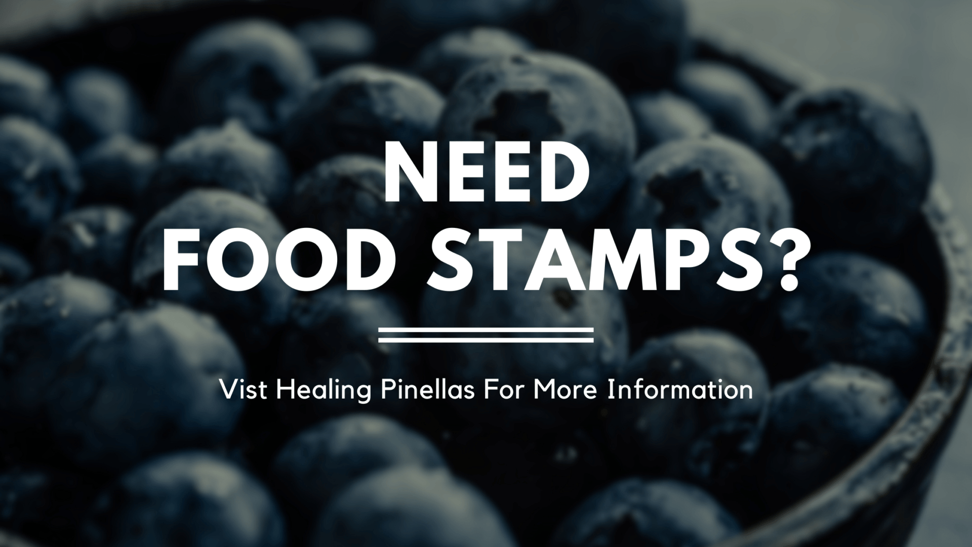 Need Food Stamps? Healing Pinellas SNAP Assistance Programs