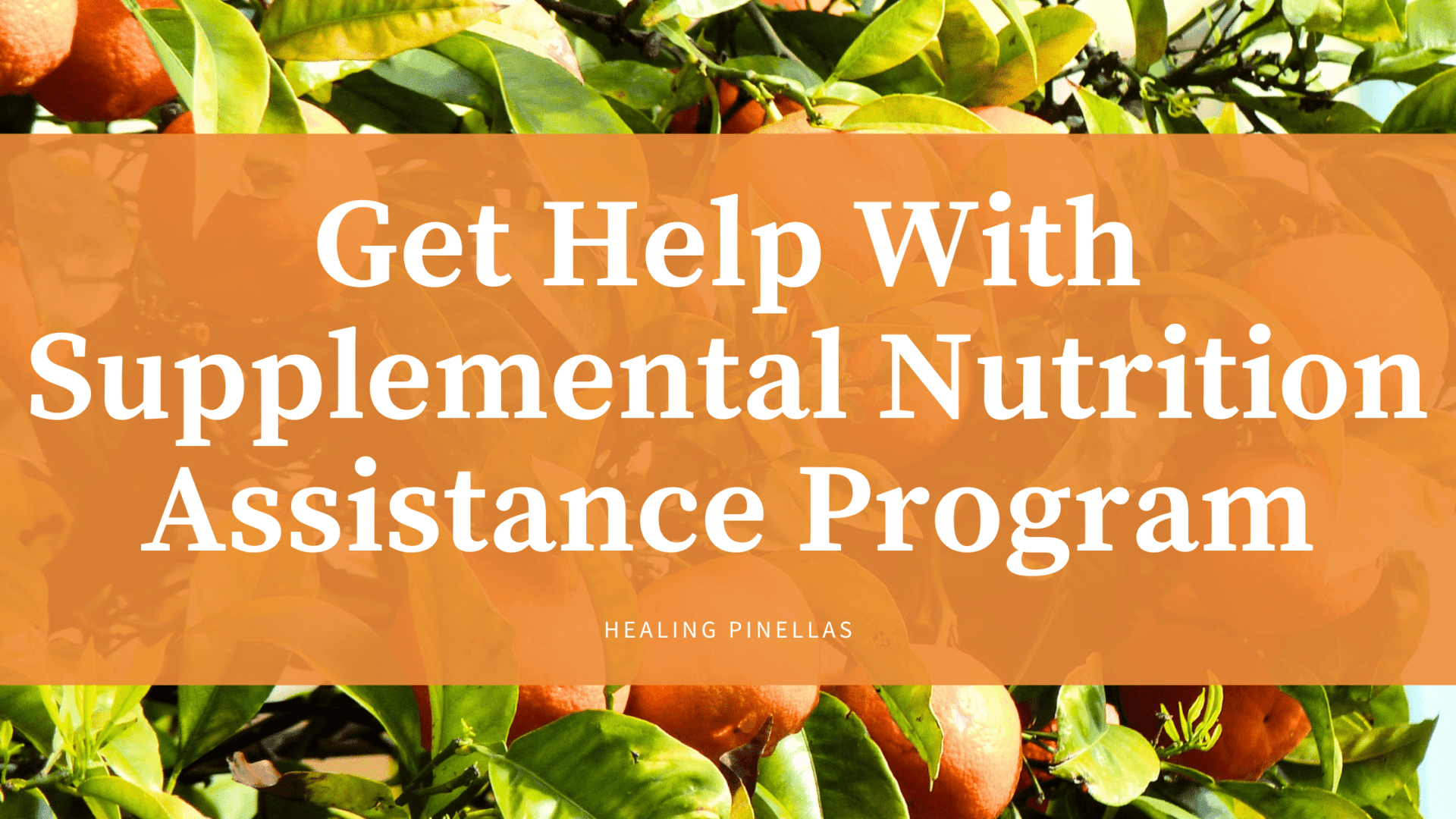 Supplemental Nutrition Assistance Program - Helpline